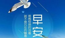 做微商的经典语录