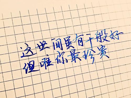 金代码录音