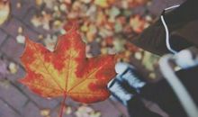 微信朋友圈说说意境