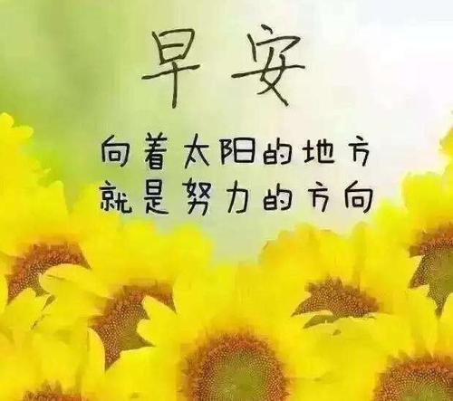 生命积极的能量灵感句子