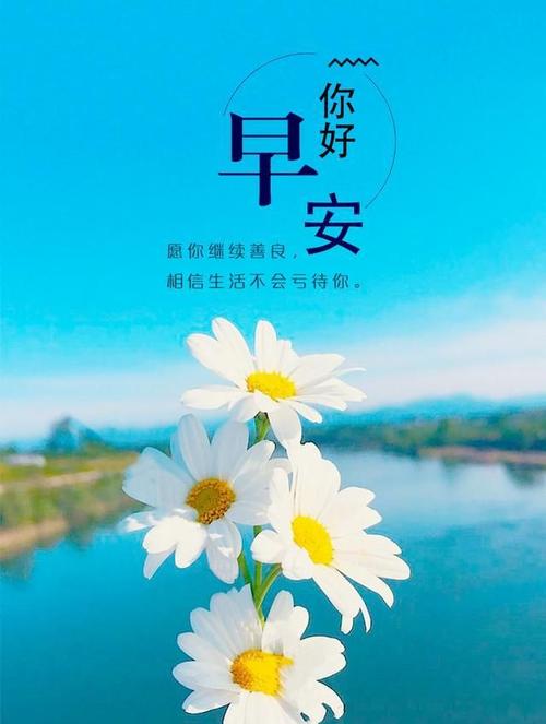 描述一节经文