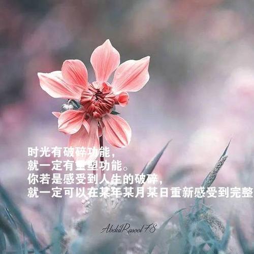 朋友们圈出一句好句子