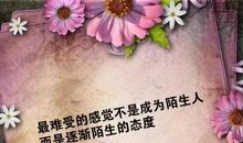 心情好的句子发朋友圈的句子