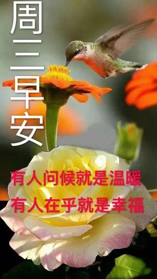 恋人温暖的心早上好问候