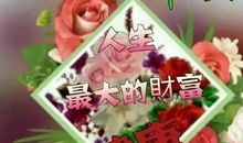 心情好的朋友圈句子