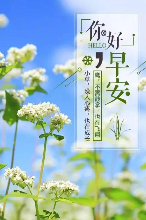 学生诱导短句