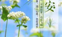 学生励志短句十字以内