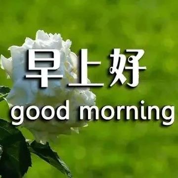 刷朋友圈，经典说