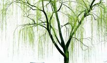 春风春雨的诗句