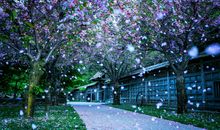 三月的诗词唯美描写