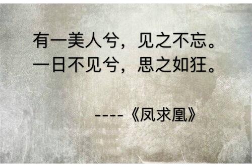 古文情话表白