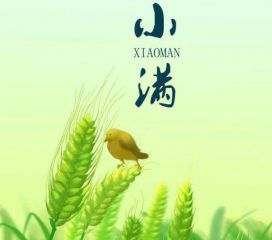 箴言在清明节