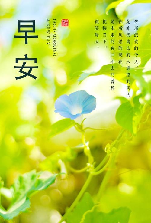 关于孤独的乏味朋友圈