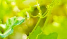 关于孤单无聊的朋友圈好句