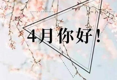 四月，你好谈谈朋友圈。