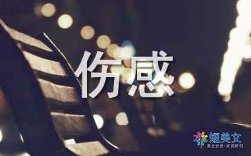 2021伤害经典报价