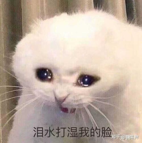 生活太痛苦的朋友圈