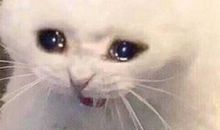 生活太苦了的朋友圈