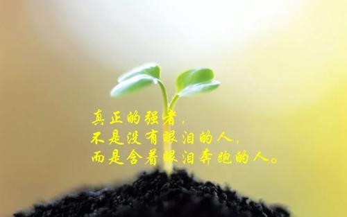 汤汤的反演