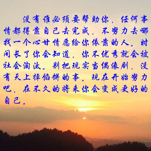描述自己的陈述