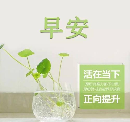 早上好短句圈