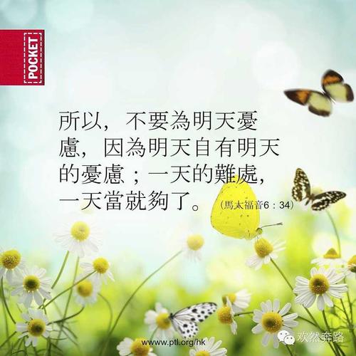 爱上