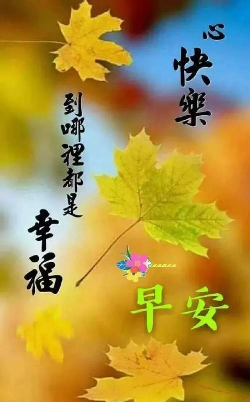 夏天温暖的问候短信