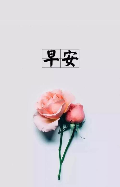 早安朋友，谈论经典