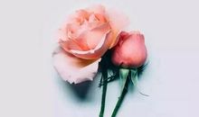 朋友圈早安说说经典