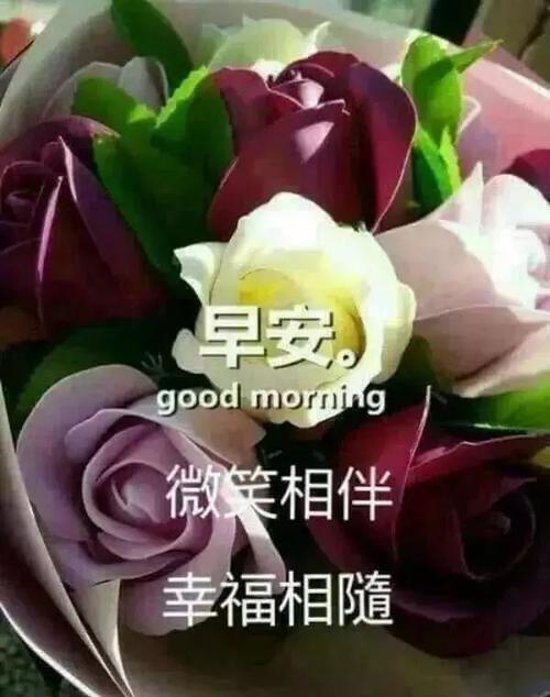 鼓励自己的鼓励