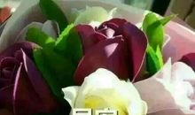 给自己的鼓励说说心情