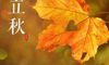 立秋发朋友圈的唯美句子集合20句