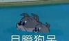 幽默风趣冷笑话短句