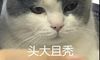 即沙雕又可爱的文案