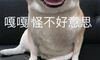 有趣的谐音梗笑话