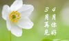 三月再见四月你好的经典句子