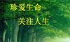 关注健康关爱生命句子文案