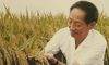 写一句赞扬袁隆平的话 表达对袁隆平的赞美的句子