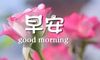 适合说早安的句子 早安心语简单朋友圈晨语说说合集31句