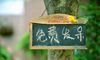 2019好听的游戏家族名字大全:花街联盟