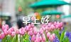 春天说说朋友圈短句 适合春天的文案短句