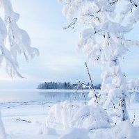 下雪,谈论雪,雪,美丽的短句,温暖的心