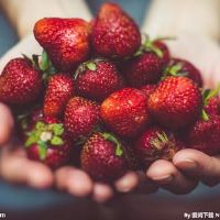 描述孩子的假期句