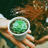 有一天，一个早上好