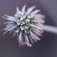 研究生励志积极能量座椅右明（选定的83句）