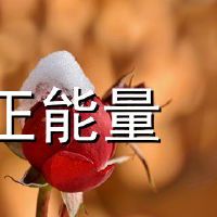 生活励志积极能量的座右铭（选定的73句话）