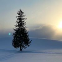 搜索清洁个性美丽签名气质非常漂亮,美观短句2022