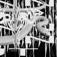 National K song personality signature super 拽 domineering symbol road is good, tired, please