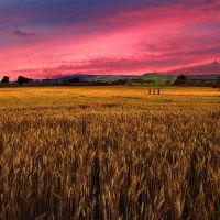 最近，Writer 2022的与火灾相关副本（选择了40个句子）