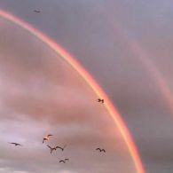 一开始是你鼓舞人心的热心句子。